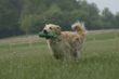 DSC_5979.JPG